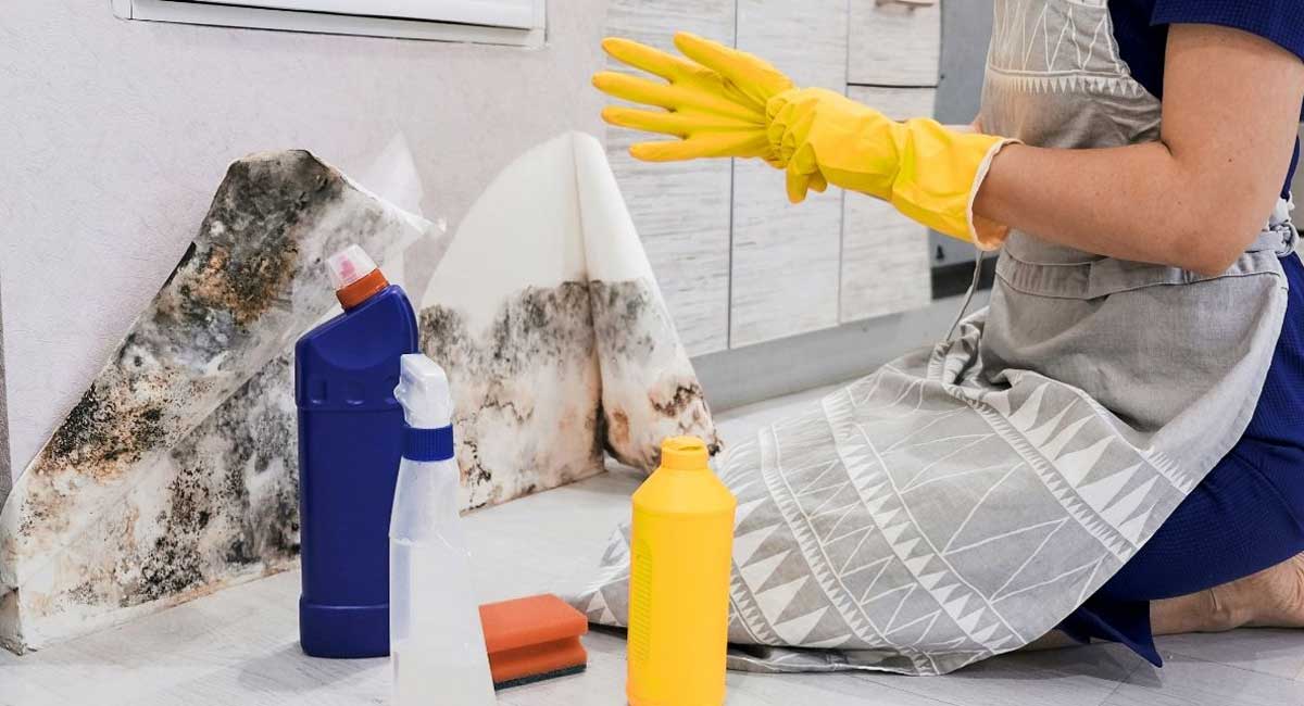 Guide on How to Remove Mold from Wood Woodturning Tips